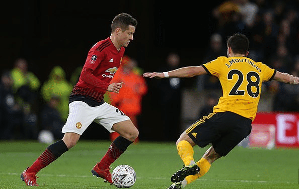 更为全年培 更为全年培